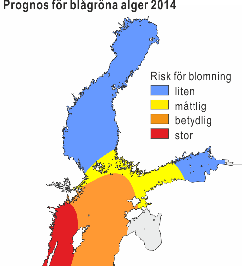 alg prognosis